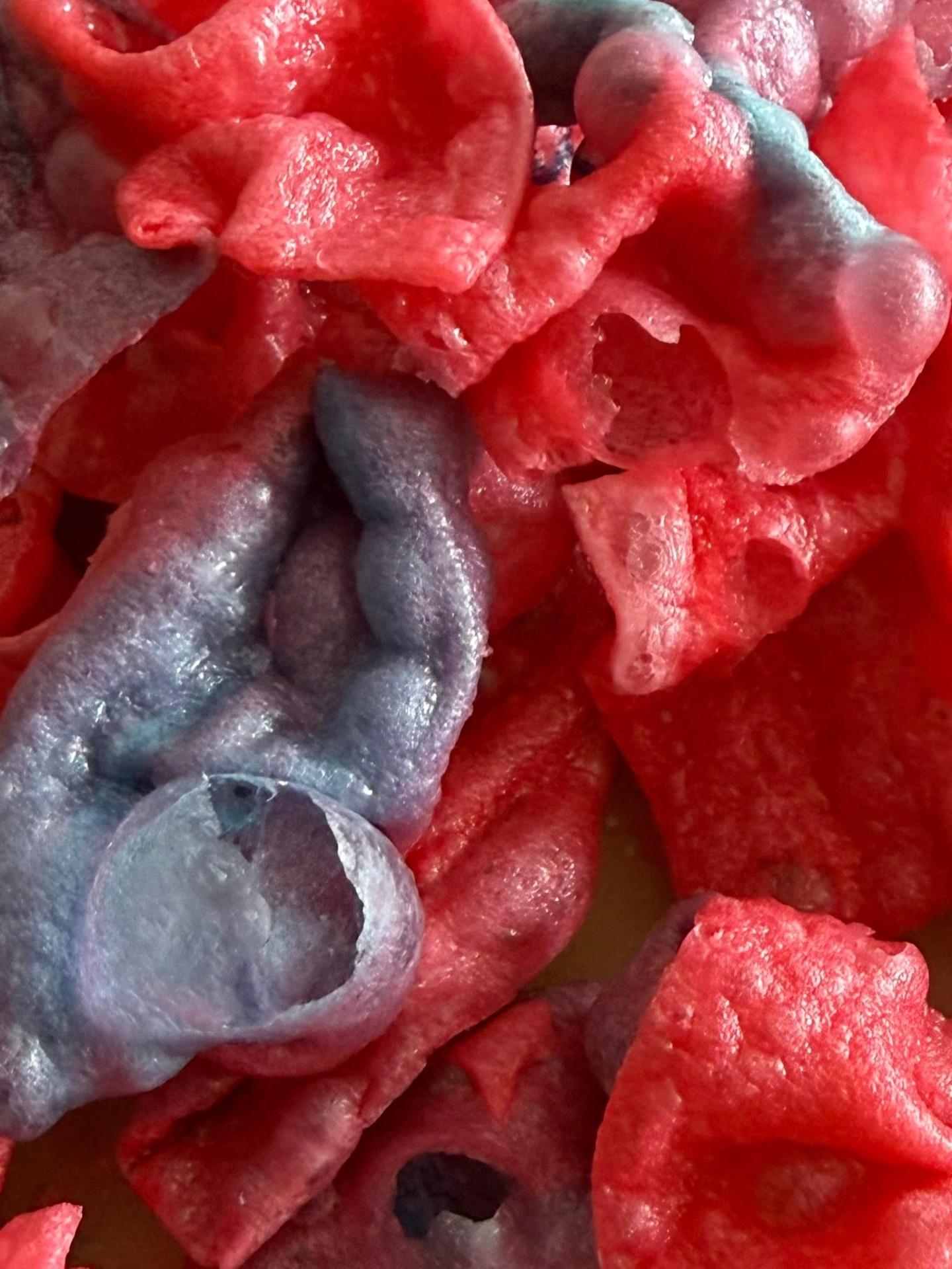 Freeze-dried candy wafers